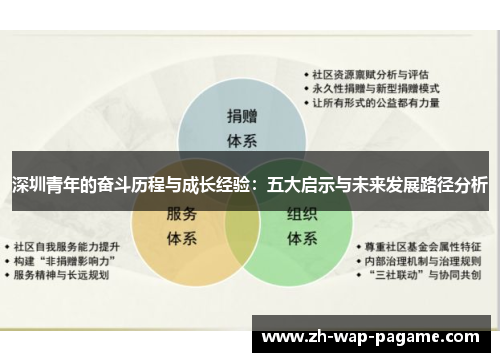 深圳青年的奋斗历程与成长经验:五大启示与未来发展路径分析