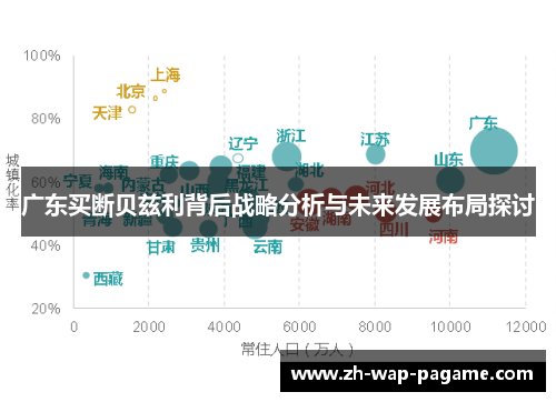 广东买断贝兹利背后战略分析与未来发展布局探讨