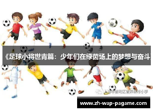 《足球小将世青篇：少年们在绿茵场上的梦想与奋斗》