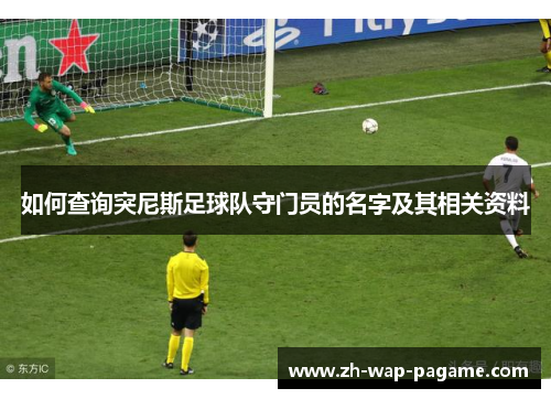 如何查询突尼斯足球队守门员的名字及其相关资料
