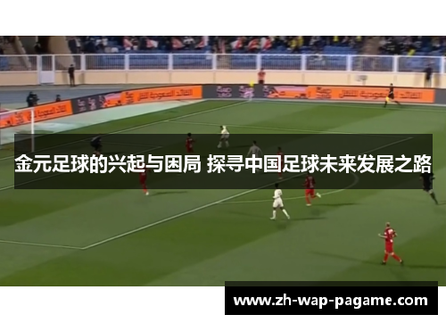 金元足球的兴起与困局 探寻中国足球未来发展之路
