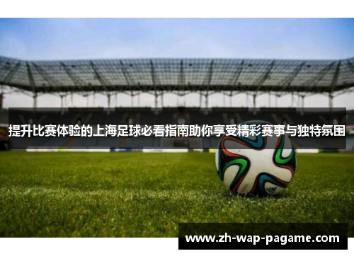 提升比赛体验的上海足球必看指南助你享受精彩赛事与独特氛围