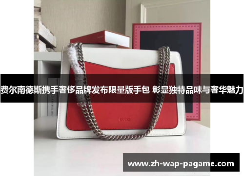费尔南德斯携手奢侈品牌发布限量版手包 彰显独特品味与奢华魅力