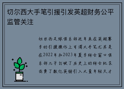 切尔西大手笔引援引发英超财务公平监管关注 切尔西大手笔引援引发英超财务公平监管关注